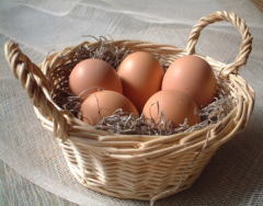 安心で健康に良く善玉菌がいっぱいの美味しい卵、美野里たまご