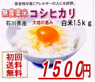 無農薬栽培米コシヒカリ「大地の恵み」お試し版1.5kg玄米