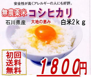無農薬栽培米コシヒカリ「大地の恵み」お試し版2kg白米