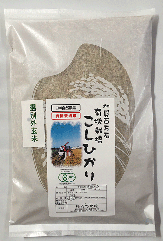 辻本さんのカグラモチ玄米1kg