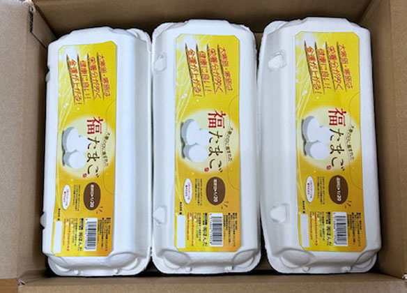 美の里さんたまご加賀の朝日１０個入り６Ｐ