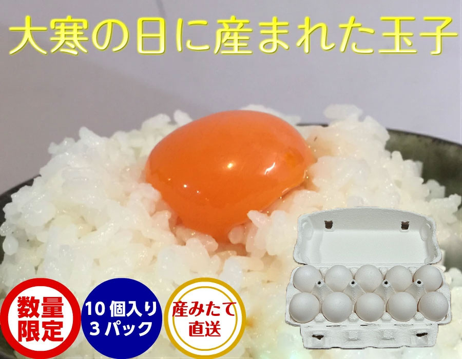 美の里さんたまご加賀の朝日１０個入り３Ｐ
