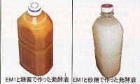 色の濃い方がEM1と糖蜜で作った発酵液、色の白い方がEM1と砂糖で作った発酵液