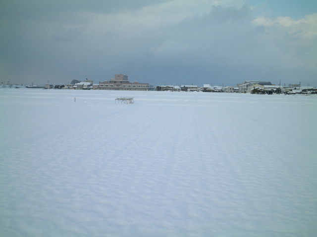 昭和55年の大雪