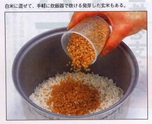 白米に発芽玄米を混ぜると食べやすく便利です