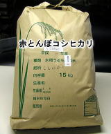 赤とんぼコシヒカリ精米用玄米20kg