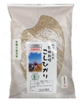 加賀厳選コシヒカリ若緑小粒玄米1,5玄米