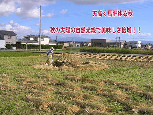 有機栽培とは、天日干し有機栽培米で家族みんな健康生活宣言