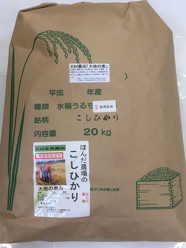 無農薬栽培米「大地の恵み」20ｋｇ食用玄米