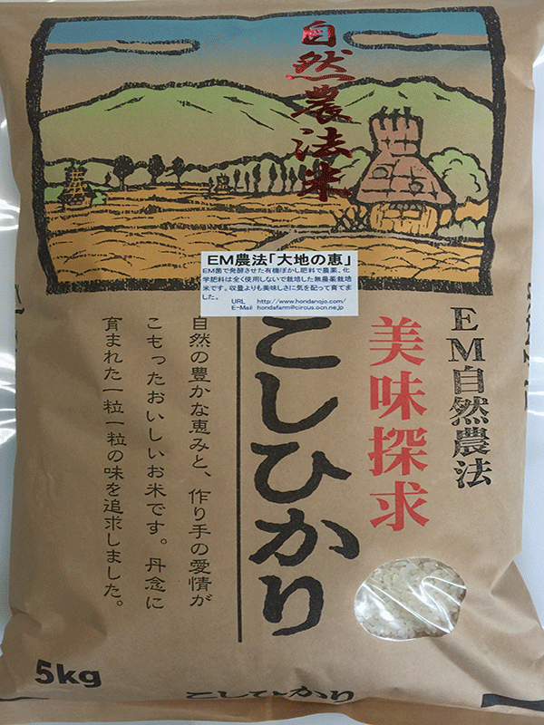無農薬栽培米「大地の恵み」2ｋｇ食用玄米