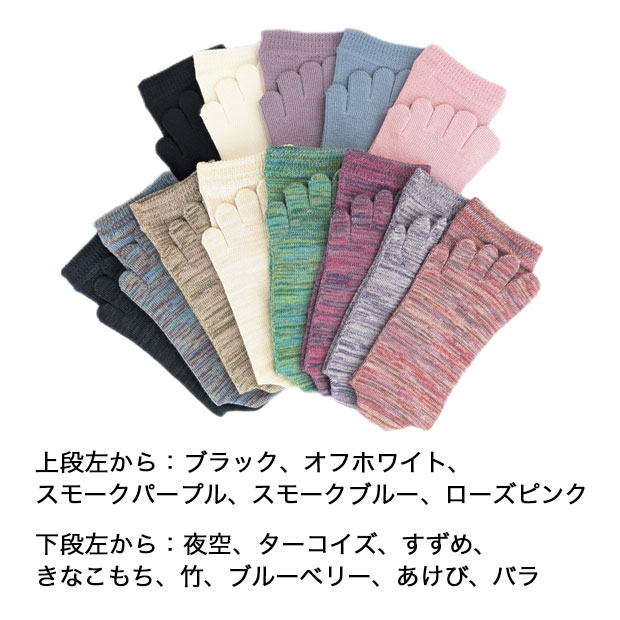 レギュラーソックス
