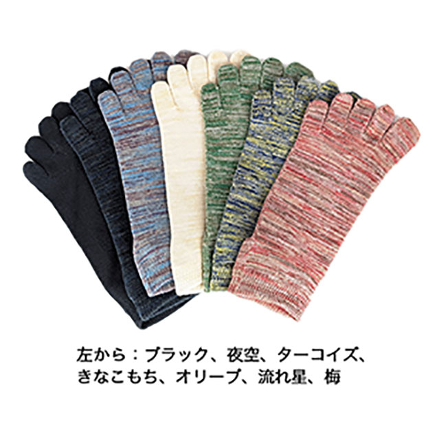 EMソックス 5本指 スニーカーソックス 雅25~27cm