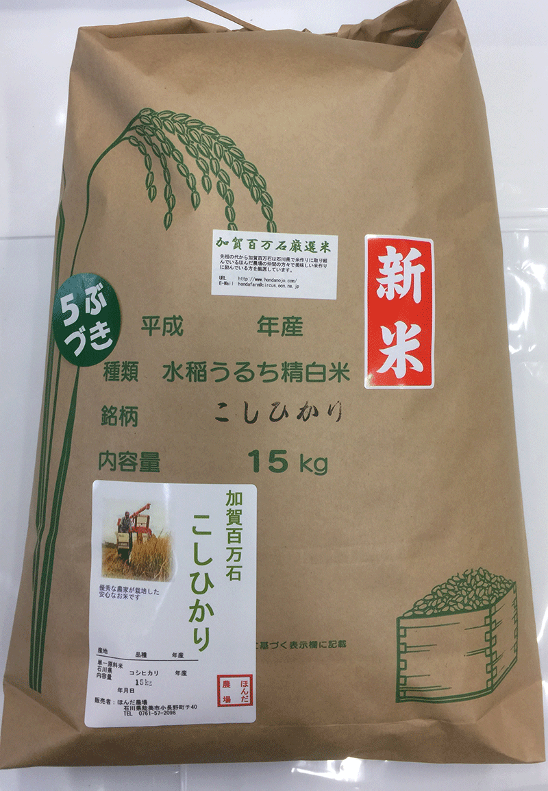 加賀厳選米コシヒカリ米20ｋｇ白米
