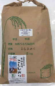 EM農法有機栽培米コシヒカリ白米５ｋｇ