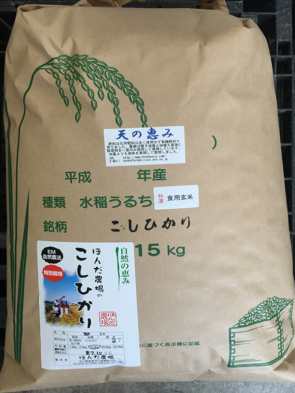 特別栽培減農薬栽培米「天の恵み」15ｋｇ食用玄米