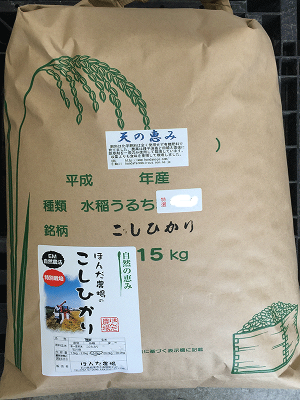 特別栽培米「天の恵み」白米20kg
