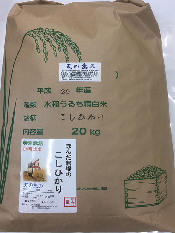 特別栽培米「天の恵み」コシヒカリ20ｋｇ白米