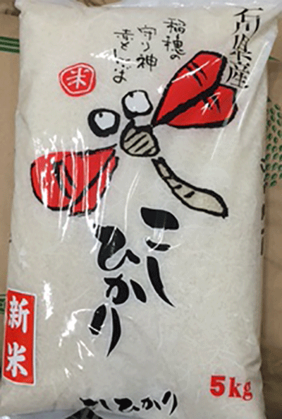 エコ栽培米赤とんぼ米コシヒカリ5分搗き白米5Kg
