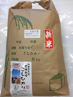 天日干し有機栽培米コシヒカリ「天地の誉」食用玄米