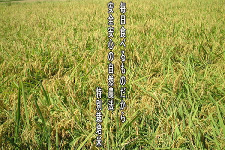 有機栽培米こしひかりのページ