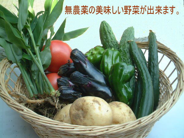 無農薬の安全な野菜が作れます